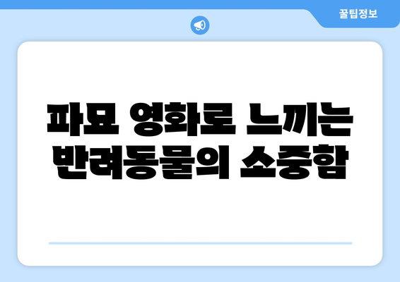 파묘 영화 OTT 무료 시청으로 반려동물의 이야기 공감