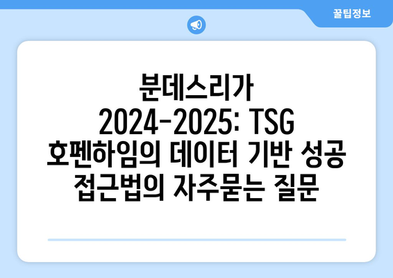 분데스리가 2024-2025: TSG 호펜하임의 데이터 기반 성공 접근법