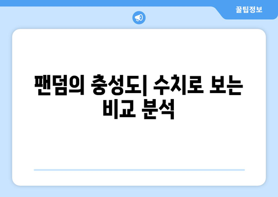 더 인플루언서 출연자 팬덤 분석: 누가 가장 충성도 높은 팬을 가졌나