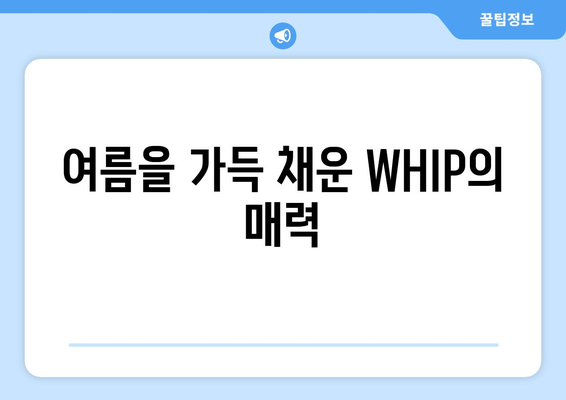 여름의 심장을 울리는 WHIP: 음악중심에서 빛나는 루네이트