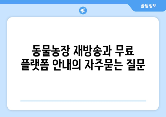 동물농장 재방송과 무료 플랫폼 안내