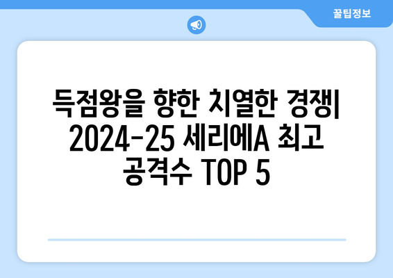 2024-25 세리에A 최고의 공격수 TOP 5