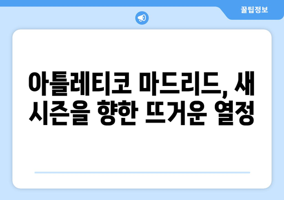 라리가 2024-2025: 아틀레티코 마드리드의 영광을 향한 도전