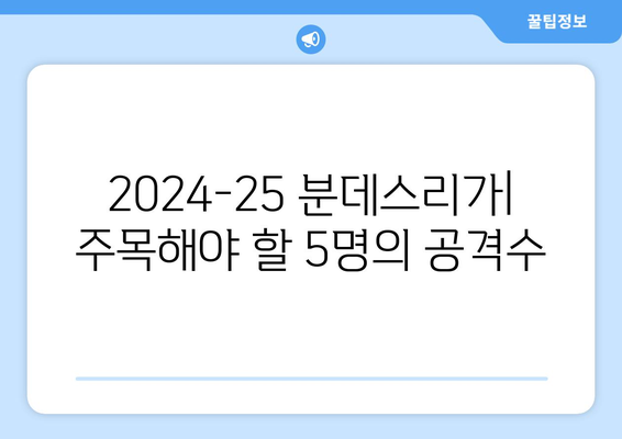 2024-25 분데스리가 최고의 공격수 TOP 5