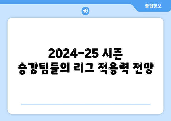 2024-25 시즌 EPL 승강팀 분석: 레스터 시티, 입스위치 타운, 사우샘프턴