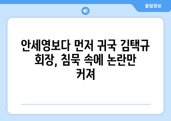 배드민턴협회 김택규 회장, 