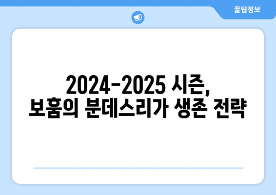 분데스리가 2024-2025: VfL 보훔의 분데스리가 모험 지속