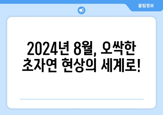 초자연적 현상 다룬 시리즈: 2024년 8월 OTT 추천