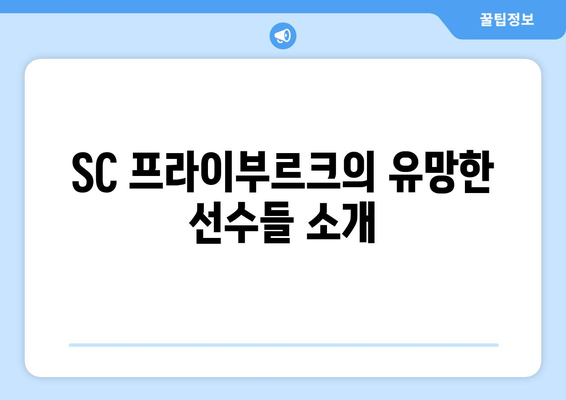 분데스리가 2024-2025: SC 프라이부르크의 꾸준한 성과와 유럽 진출 도전