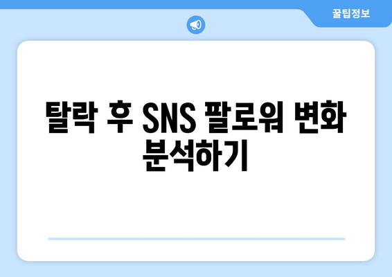 더 인플루언서 탈락자들의 재기: SNS 팔로워 변화 추적