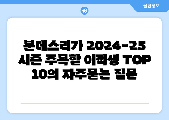 분데스리가 2024-25 시즌 주목할 이적생 TOP 10