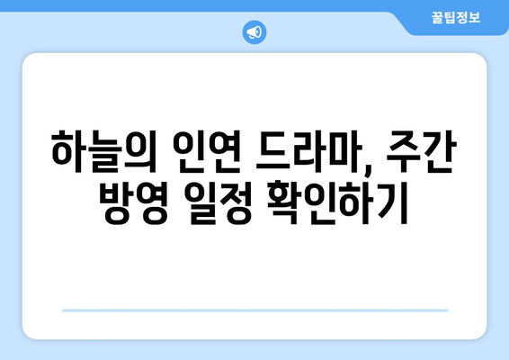 하늘의 인연 드라마 무료 시청 및 다시보기