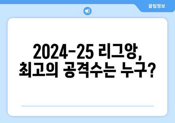 2024-25 리그앙 최고의 공격수 TOP 5