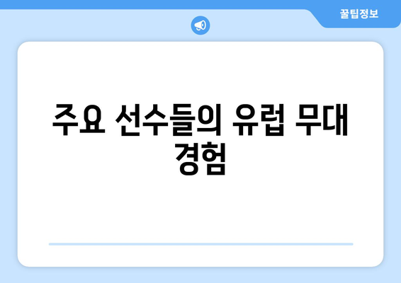 분데스리가 2024-2025: 볼프스부르크의 유럽 무대 진출 도전