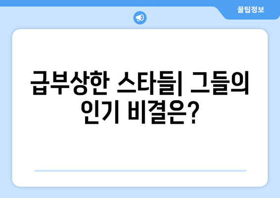 더 인플루언서 출연진 최근 1년 성장세 분석: 급부상한 스타는?