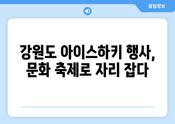 강원도 아이스하키, 흥행 돌풍으로 관객 열광