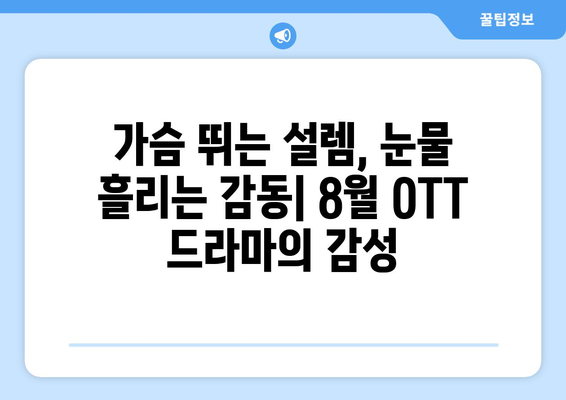 일상을 담은 드라마: 2024년 8월 OTT 특집