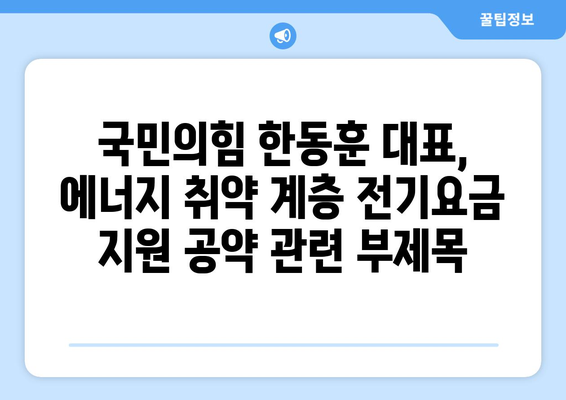 국민의힘 한동훈 대표, 에너지 취약 계층 전기요금 지원 공약