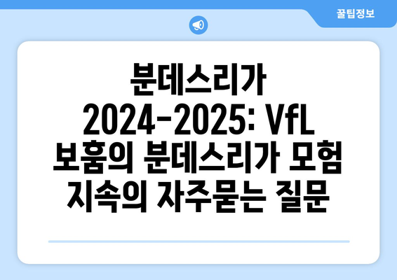 분데스리가 2024-2025: VfL 보훔의 분데스리가 모험 지속