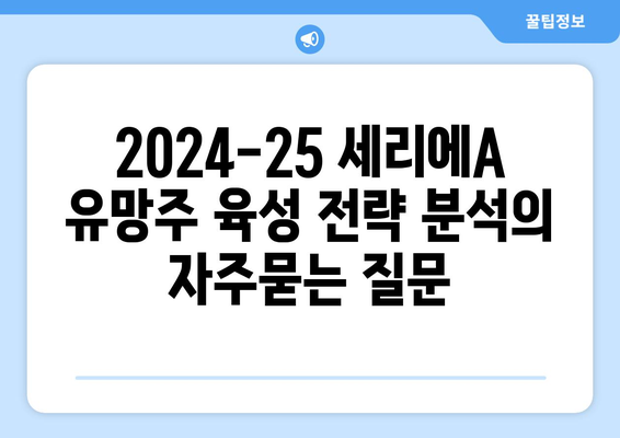 2024-25 세리에A 유망주 육성 전략 분석