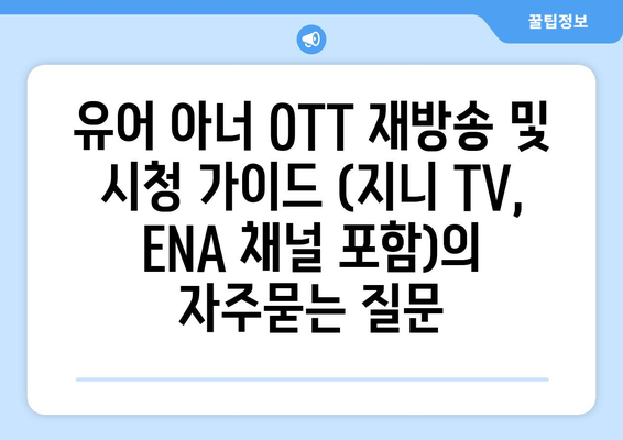 유어 아너 OTT 재방송 및 시청 가이드 (지니 TV, ENA 채널 포함)