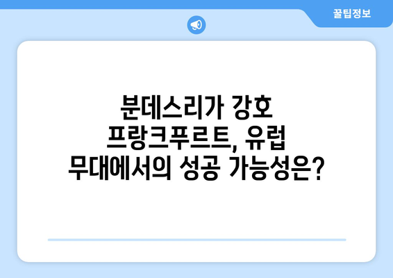 분데스리가 2024-2025: 아인트라흐트 프랑크푸르트의 유럽 무대 진출 도전