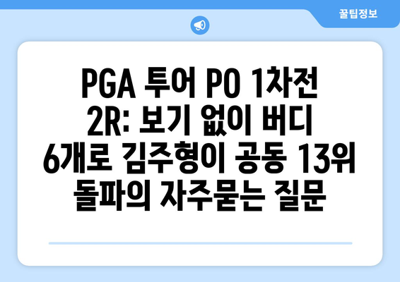 PGA 투어 PO 1차전 2R: 보기 없이 버디 6개로 김주형이 공동 13위 돌파