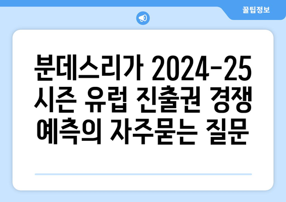 분데스리가 2024-25 시즌 유럽 진출권 경쟁 예측