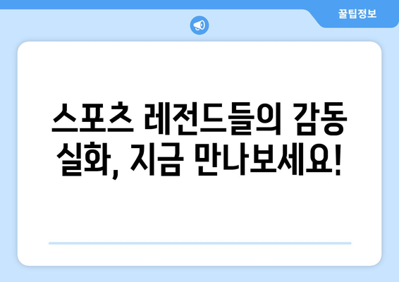 넷플릭스 8월 스포츠 다큐멘터리 특집 - 땀과 열정의 기록