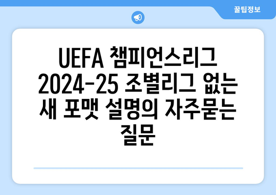 UEFA 챔피언스리그 2024-25 조별리그 없는 새 포맷 설명