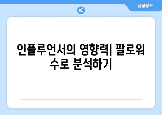 더 인플루언서 출연진 팔로워 수 랭킹: 누가 가장 영향력 있을까