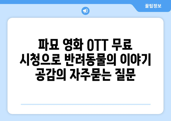 파묘 영화 OTT 무료 시청으로 반려동물의 이야기 공감