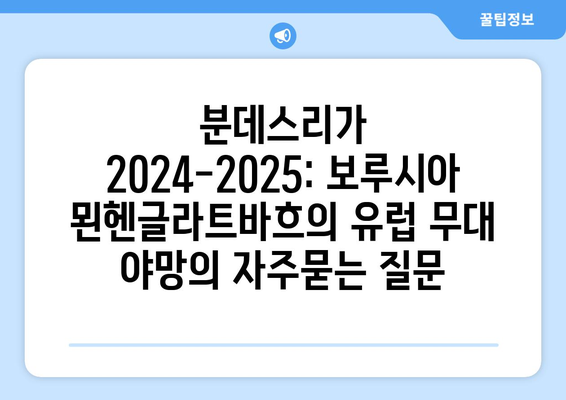 분데스리가 2024-2025: 보루시아 묀헨글라트바흐의 유럽 무대 야망