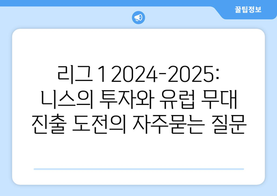 리그 1 2024-2025: 니스의 투자와 유럽 무대 진출 도전