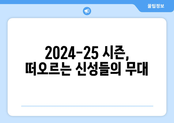 2024-25 분데스리가 유망주 육성 전략 분석