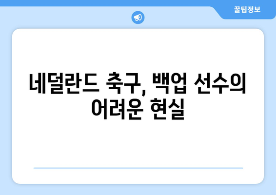 네덜란드, 국가대표 백업하기에 힘들다: 210억 보너스+장기 계약