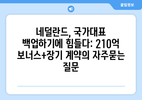 네덜란드, 국가대표 백업하기에 힘들다: 210억 보너스+장기 계약