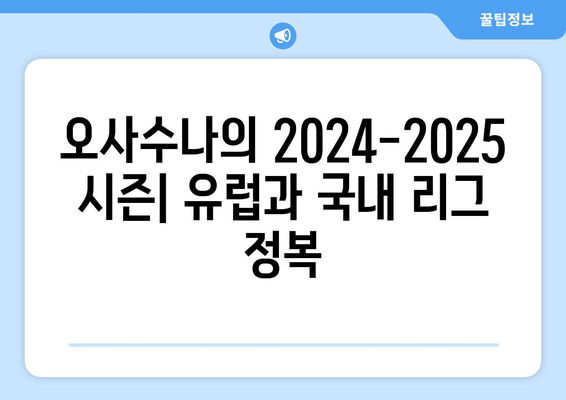 라리가 2024-2025: 오사수나의 유럽 무대 모험과 국내 리그 성적