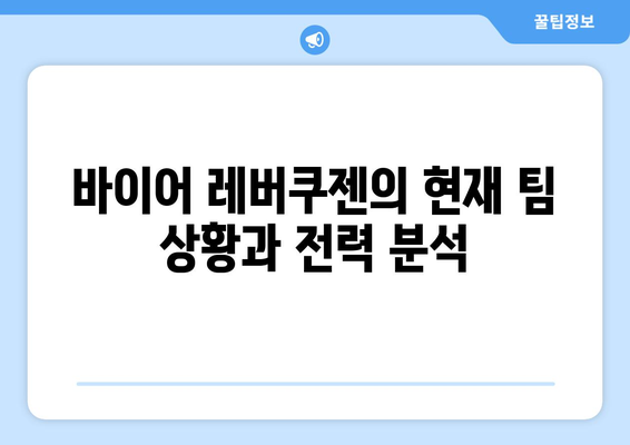 분데스리가 2024-2025: 바이어 레버쿠젠의 챔피언스리그 진출 도전