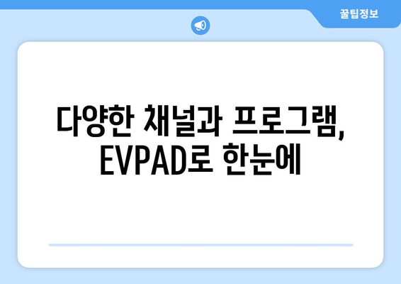 EVPAD 셋탑박스로 전 세계 TV 콘텐츠 무료 시청