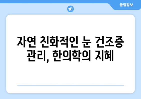 라식의 눈 건조증 완화를 위한 전통 한의학 기법