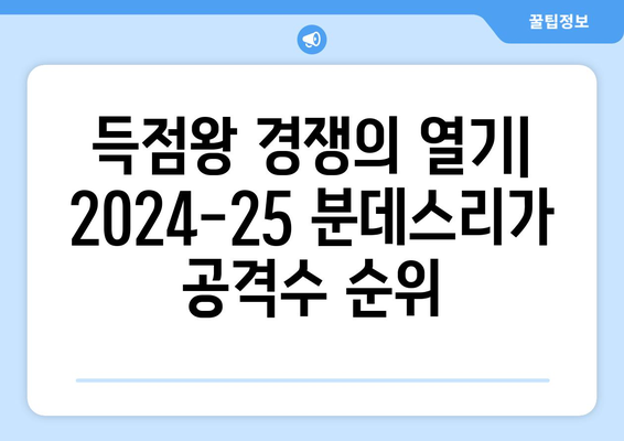 2024-25 분데스리가 최고의 공격수 TOP 5