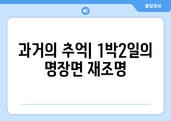 조세호X이준으로 부활한 1박2일: 과거의 영광 되찾을 수 있을까?