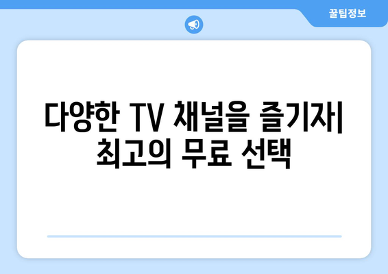 전 세계 TV 채널과 영화, 드라마를 무료로 시청할 수 있는 셋탑 박스