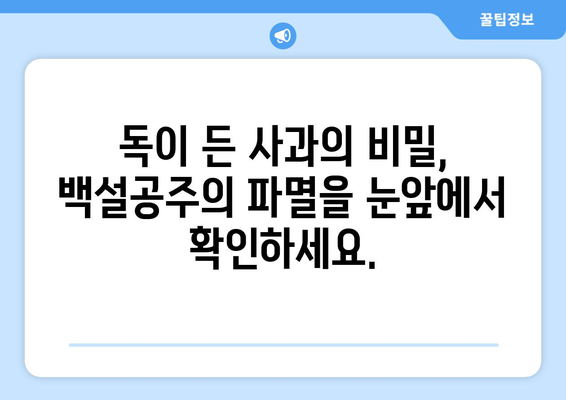 백설공주에게 죽음을 무료보기, 전 회차 바로 보기 가능