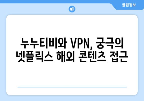 넷플릭스 VPN 누누티비와 함께 안전하게 콘텐츠 즐기기