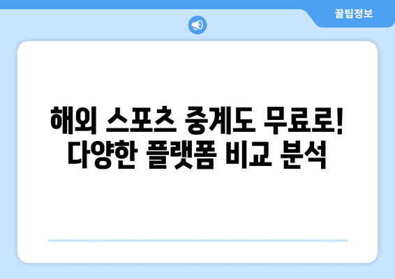 스포츠 실시간 라이브 시청: 최고의 무료 플랫폼 추천