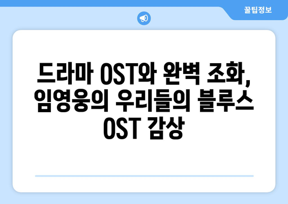 우리들의 블루스 OST 임영웅의 목소리로 듣다