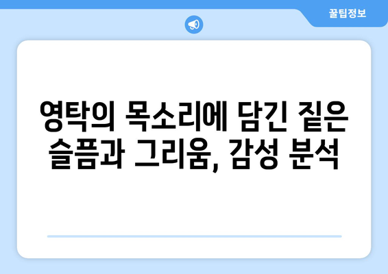 영탁 막걸리 한잔 노래 해석과 감성 분석