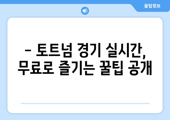 무료로 토트넘 경기 실시간 중계 시청 방법